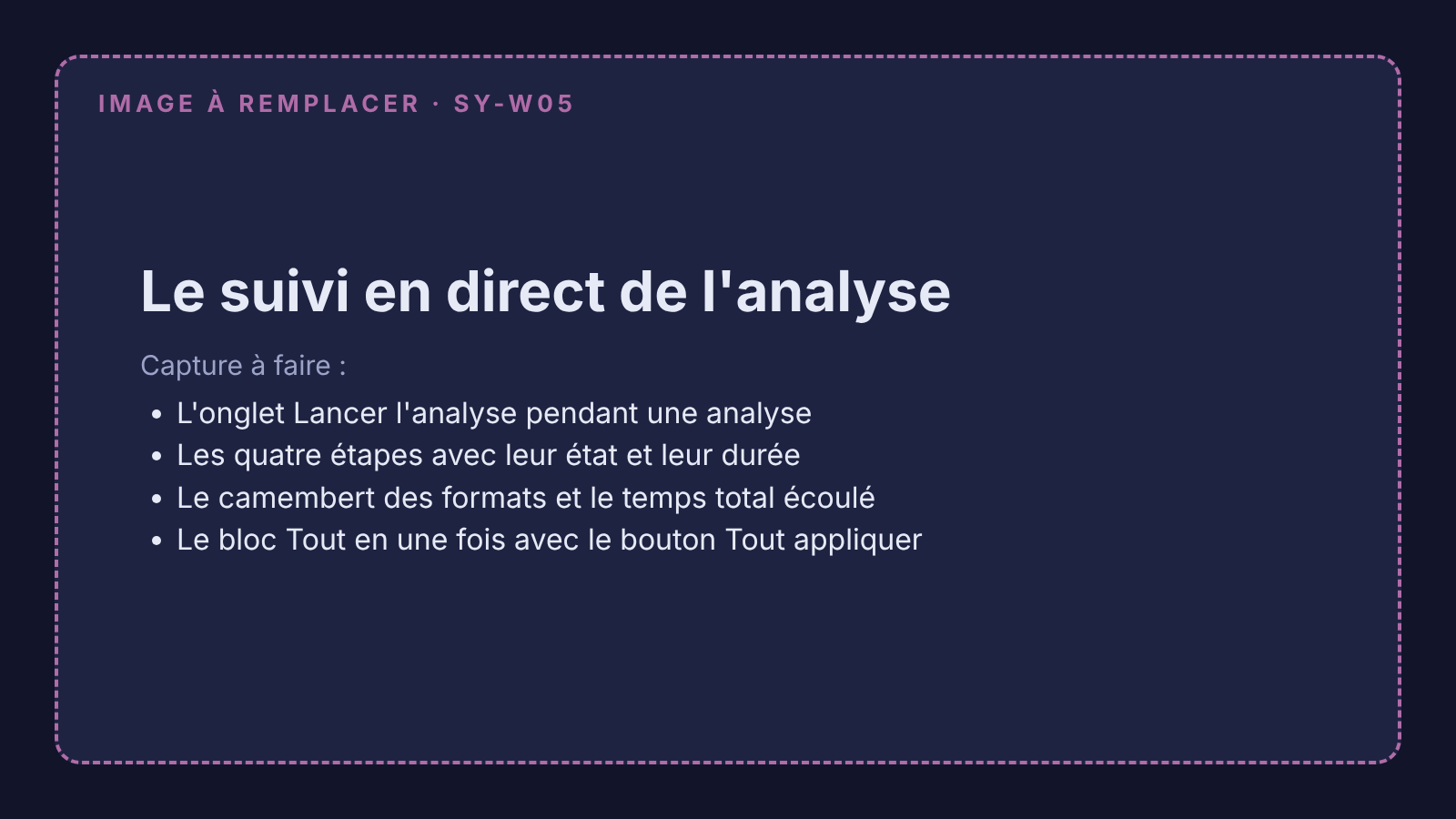 Capture à remplacer : le suivi en direct de l'analyse, avec ses étapes, le camembert des formats et le temps écoulé
