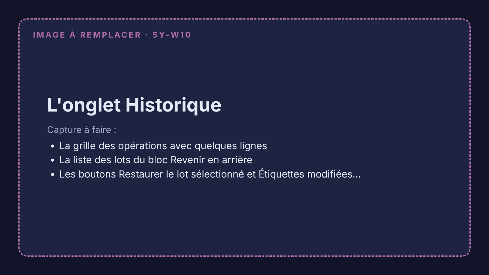Capture à remplacer : l'onglet Historique avec la grille des opérations et la liste des lots