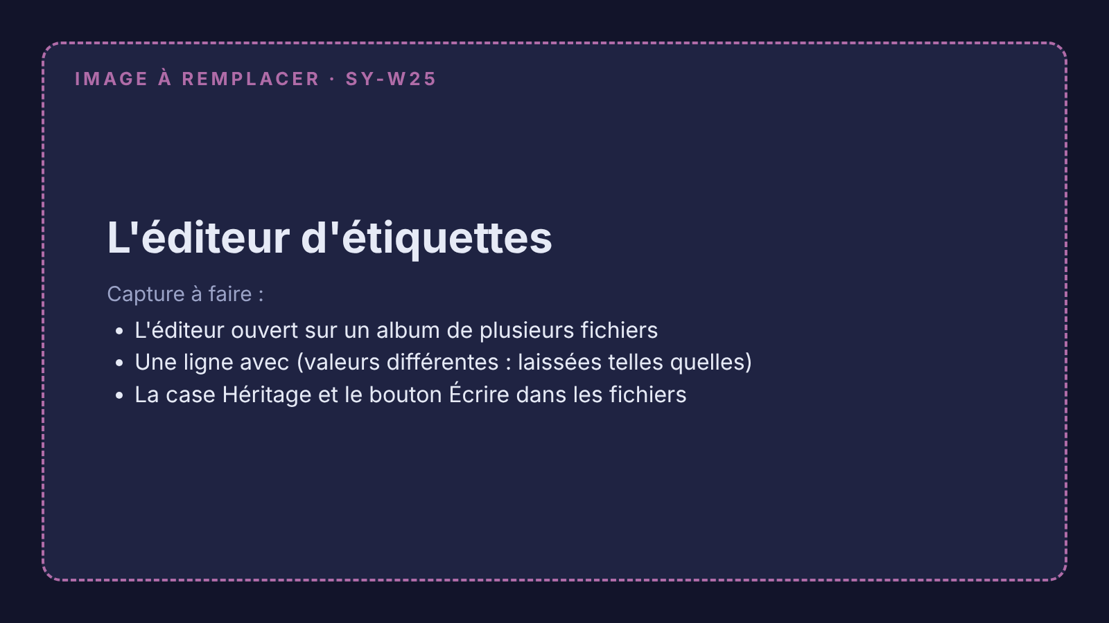 Capture à remplacer : l'éditeur d'étiquettes ouvert sur un album