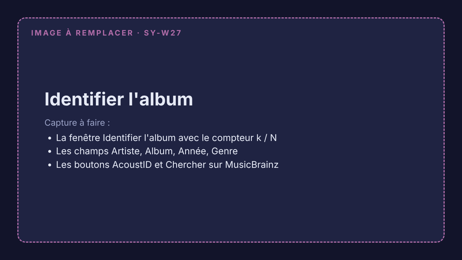 Capture à remplacer : la fenêtre Identifier l'album